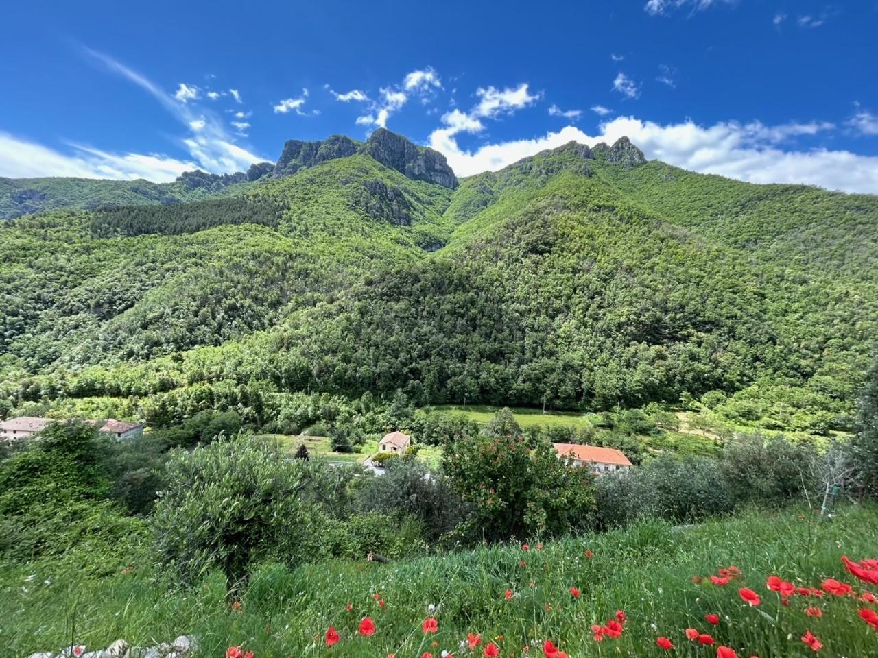 Апартаменти Castelletto With Mountain View Colletta Екстер'єр фото